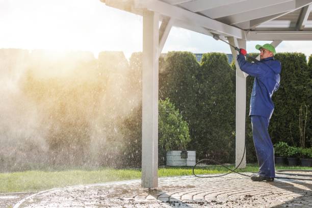 Best Sidewalk and Walkway Cleaning  in Cedarville, OH